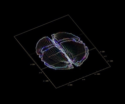 scr_hopfdcnn_image03